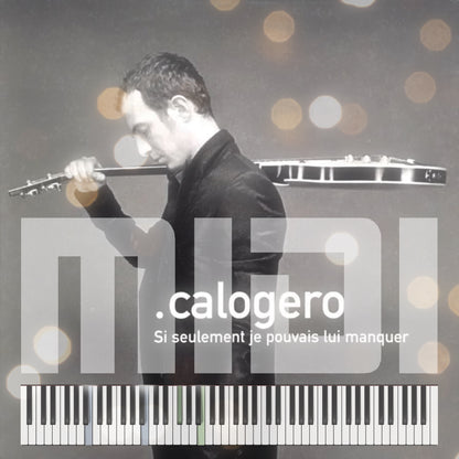 Si seulement je pouvais lui manquer